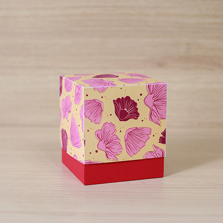 Caixa cubo alta (modelo 01)